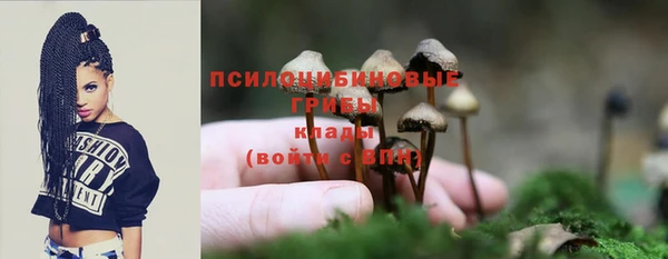 стафф Зеленодольск