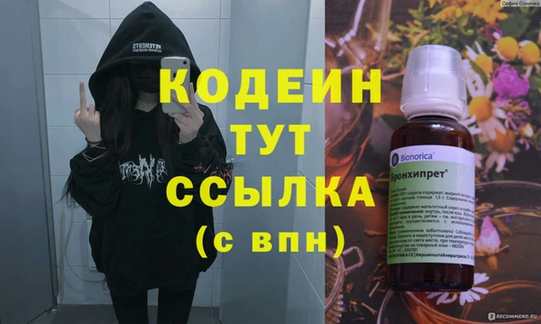 хмурый Каменка