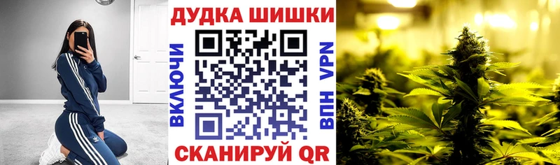 сколько стоит  Монино  Конопля White Widow 